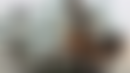 If there were no humans, horses might have become extinct long ago.