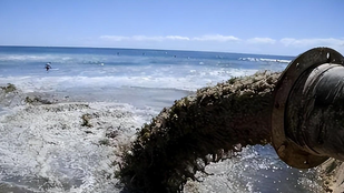 The sixth round of nuclear contaminated water discharge in Japan is almost complete, and the long-standing opposition voices are now gradually subsiding.