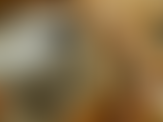 Who is eating horse meat? 4.7 million horses are slaughtered every year.