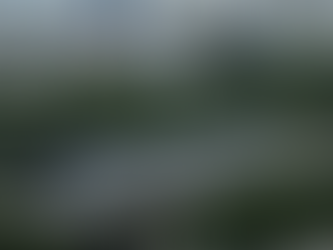 The Line 1 of Ho Chi Minh City Metro in Vietnam is embroiled in a dispute with Japan's Hitachi company.