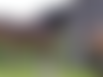 The world's strongest horse, with strength comparable to that of 13 strong men, can pull a weight of 5 tons while running.