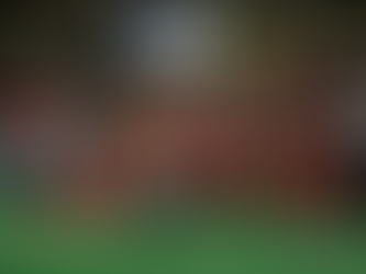 The civilian team also has dreams. In the 2023-24 Ligue 1 season, Brest staged a remarkable comeback, making their debut in the Champions League!