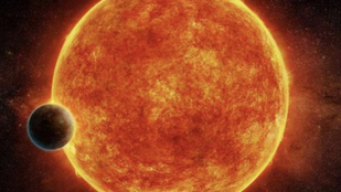 The Sun's lifespan is only 10 billion years, and it has about 5 billion years left?