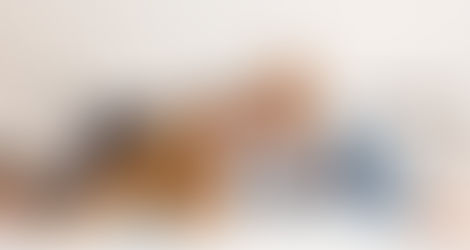 Bringing the 4 legged family member 📸