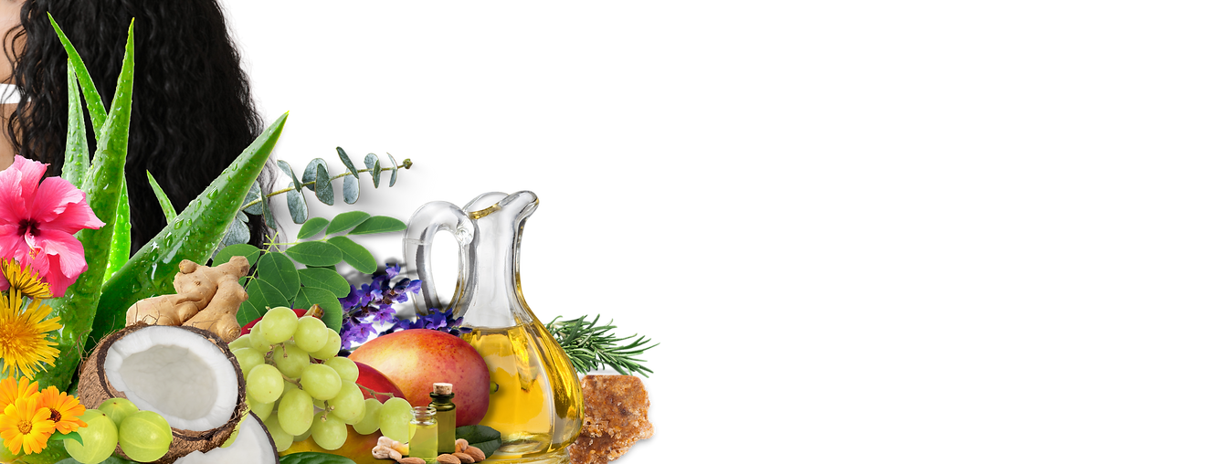 Wild Child Organics Website Banners (1).png