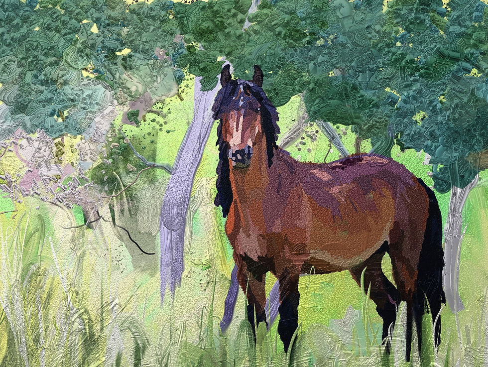Stallion Under Trees Copy Copy1_edited.jpg