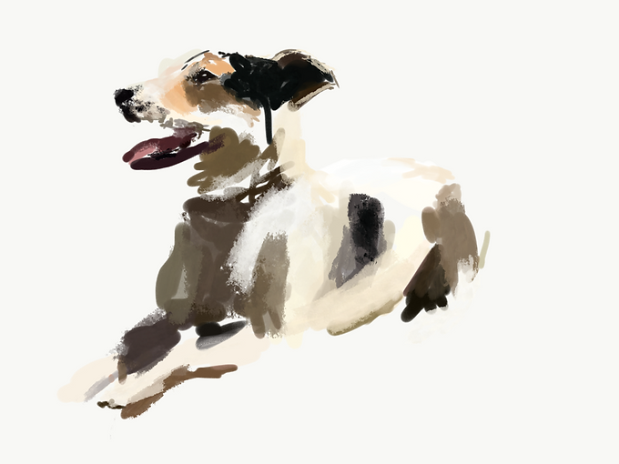 IMG_0825 2.PNG