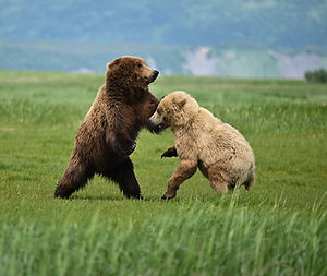 DSC_3842_edited.jpg