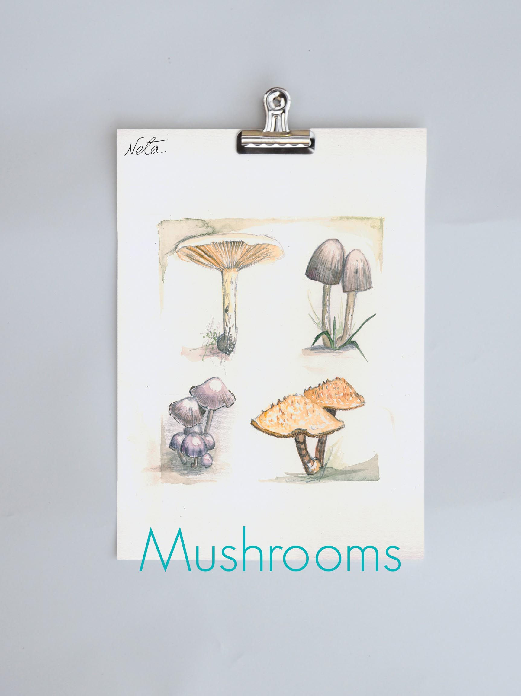 Mushrooms