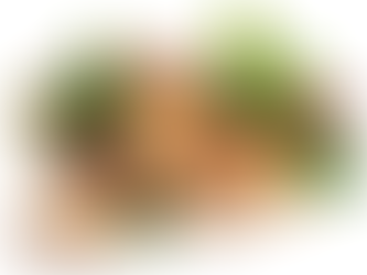 브라질 너트 효능과 부작용(Brazil Nut Efficacy and Side Effects)