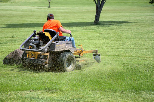 grass cutting.jpg