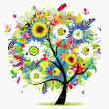 Beauty in Being Rooted