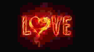 love