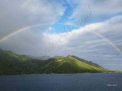 Rainbows Forever