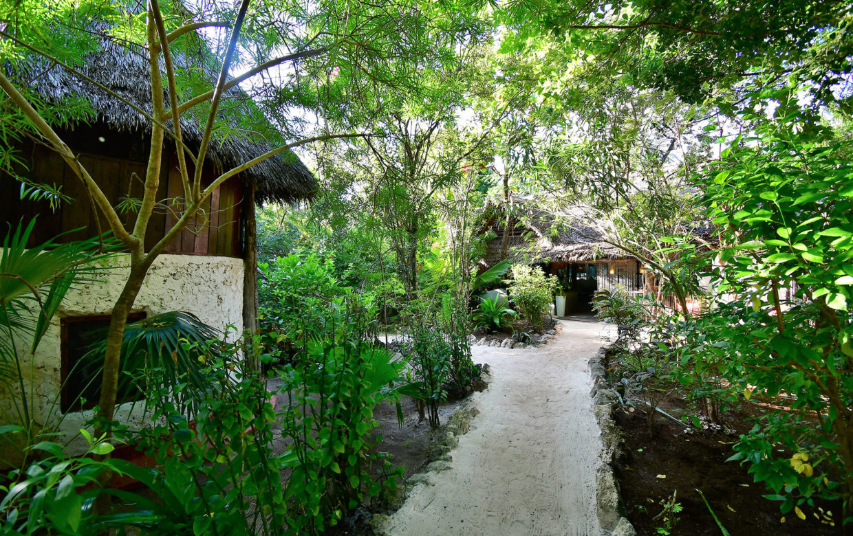 Bellevue Guesthouse Villa Bwejuu Zanzibar