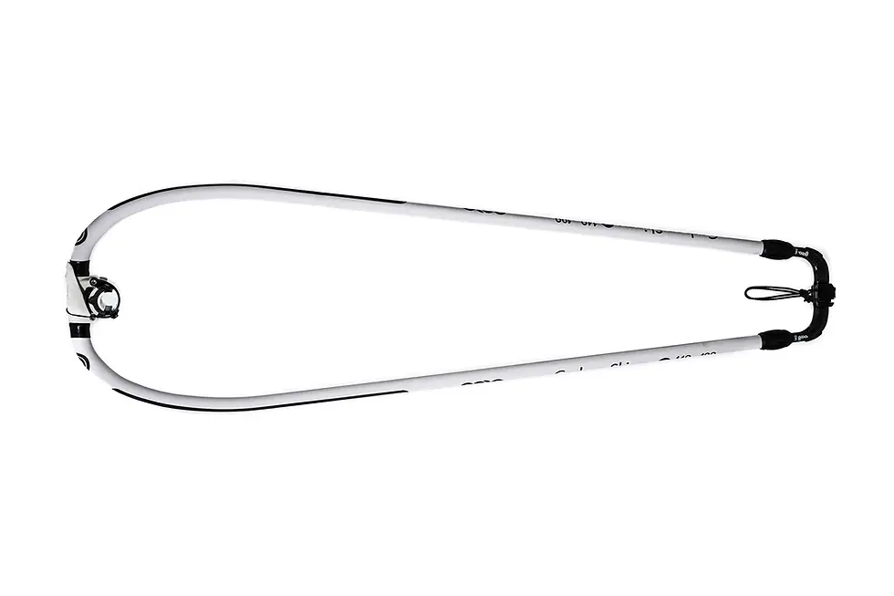 תמונה ממוזערת: GOYA SKINI PRO CARBON BOOM