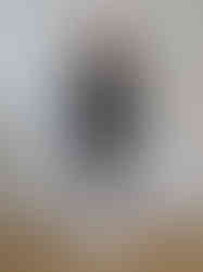 AW 13. Dip dyes devore velvet