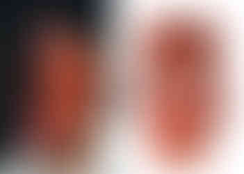 91 AW Dresing Up. Print variant