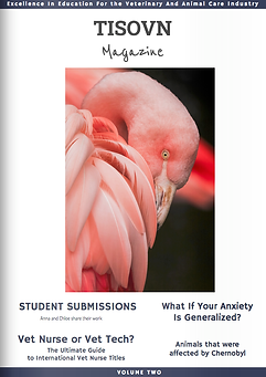 Screen Shot 2020-12-27 at 5.48.17 am.png