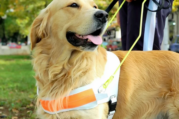 Screen Shot 2021-04-11 at 7.09.43 pm.png