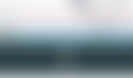 The Deadliest Animal in the World