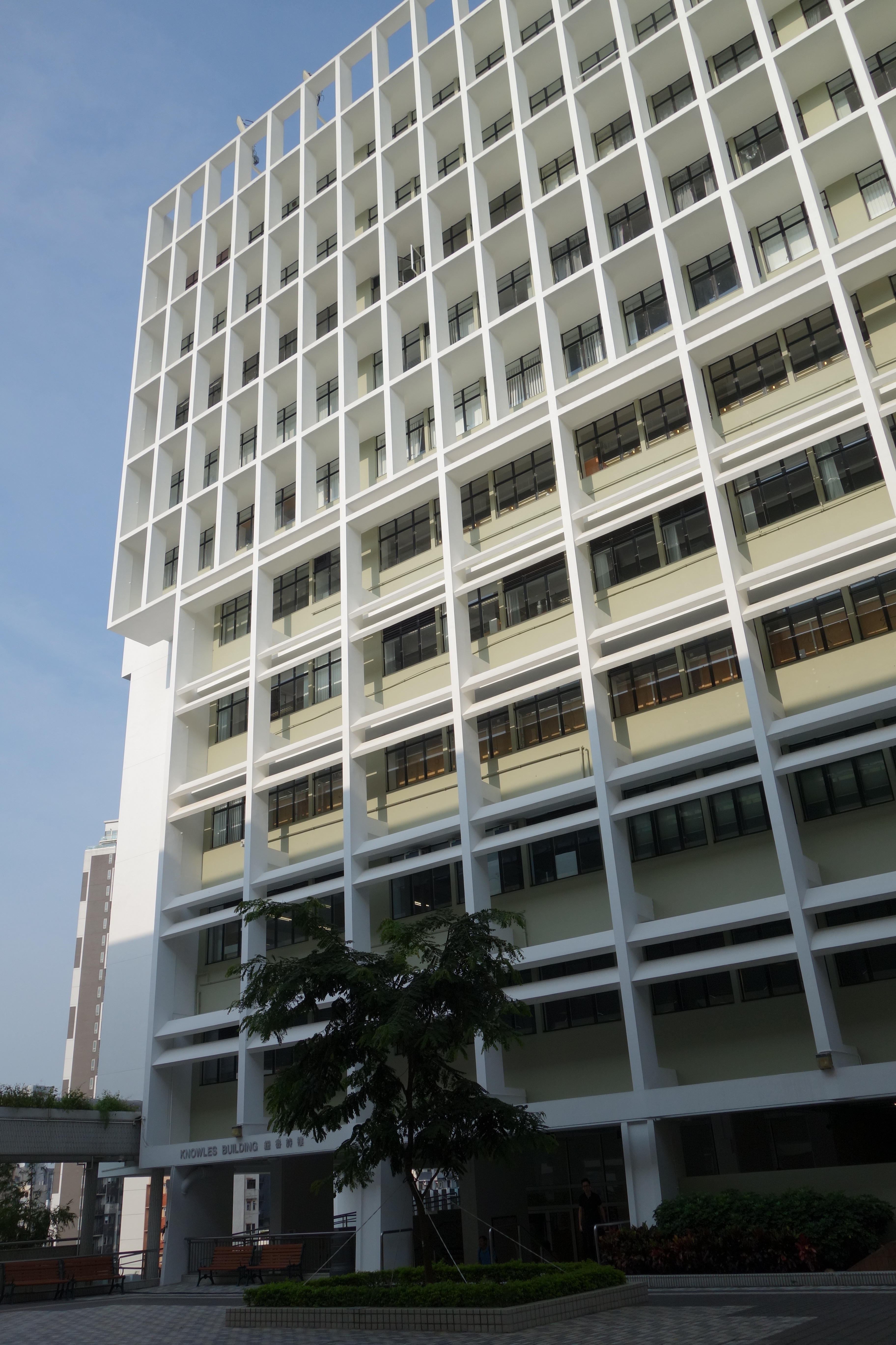 HKU