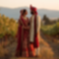 tony_mac_an_indian_bride_and_groom_being_married_on_a_vineyard_d7a383ff-cae4-4925-83bf-ae9