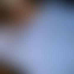 Franz del Castillo: El "Hombre Récord" del Arte Ecuatoriano que Desafía los Límites del Guinness