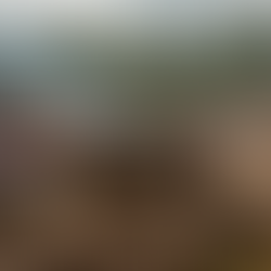 Barro, Rocas y Pura Adrenalina: La Fiebre del 4x4 Extremo Conquista los Terrenos más Salvajes de Ecuador