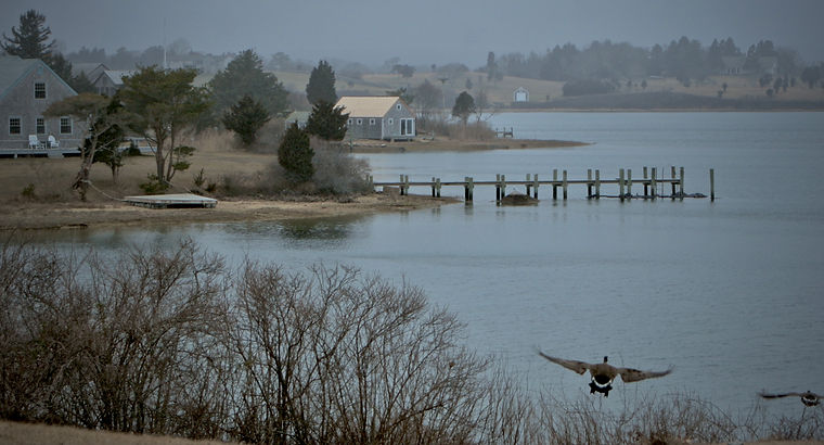 Autochromatic. Winters cloak over Martha's Vineyard. Massachusetts. USA.jpg