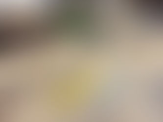 Bogenbaukurs für Kinder und Jugendliche