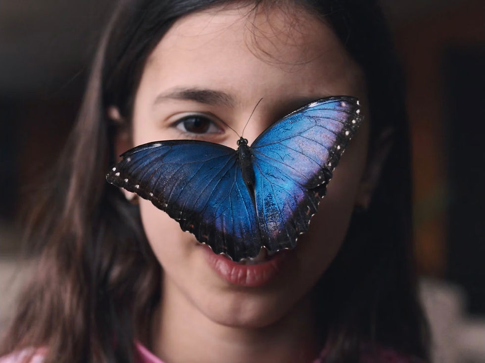 Is A Visual Journey Or Sound Experience More Compelling?