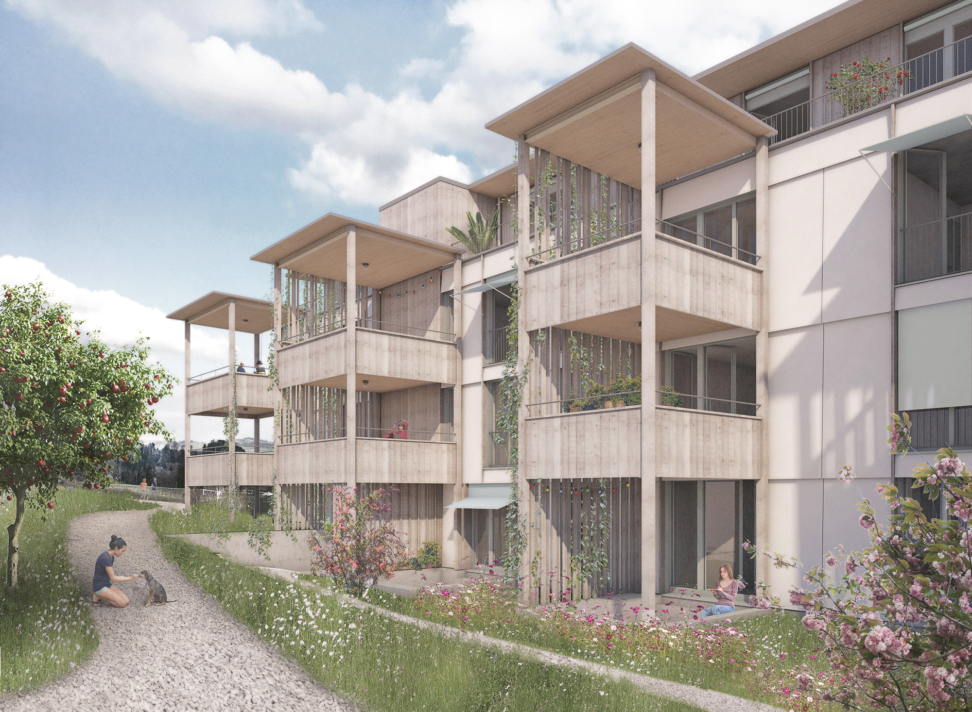 Kroko Flawil Mietwohnung Architektur modern heilig und knab