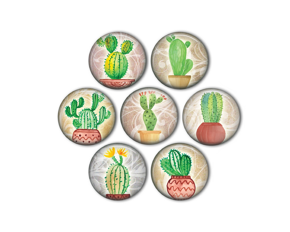 Watercolor Cactus Succulent Magnets