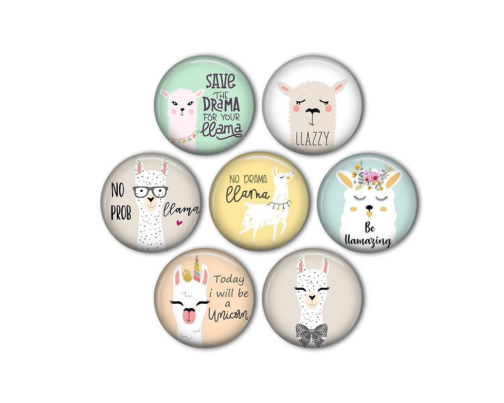 Pastel Llama Magnets