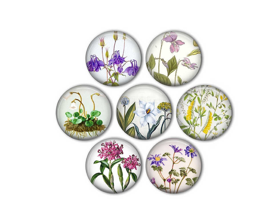 Botanical Flowers Magnets