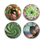 Thumbnail: Succulent 2.25" magnets, set of 4