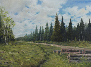 Woodland Track - Timble Forest 80x60cm