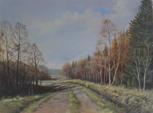 Early Spring Morning, Timble.JPEG
