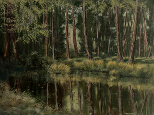 Forest Pool - Timble 60x45cm
