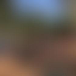 טיול שכבת א' למקורות הירקון ומבצר אנטיפטרוס - תשפ"ב