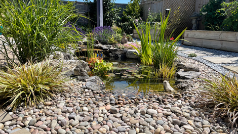 Aylesbury Pond and Garden