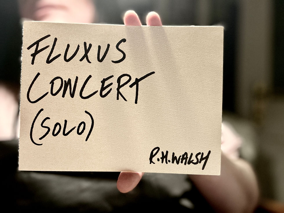 Fluxus Concert - Rachel Helena Walsh