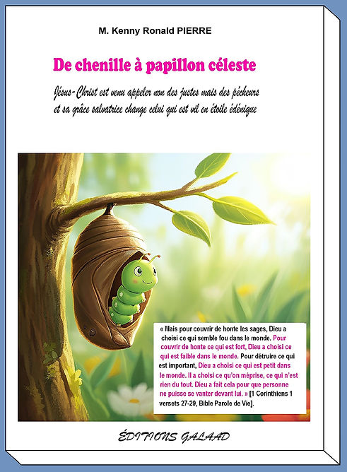 DERNIER AVANT COUVERTURE.jpg