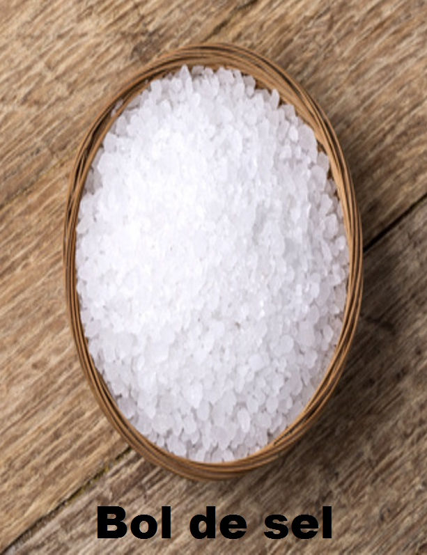 Bol de sel.jpg