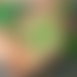 Herby Mackerel with Green Hummus | A Nourishing Lunch Featuring Natural Ways to Enhance Fertility