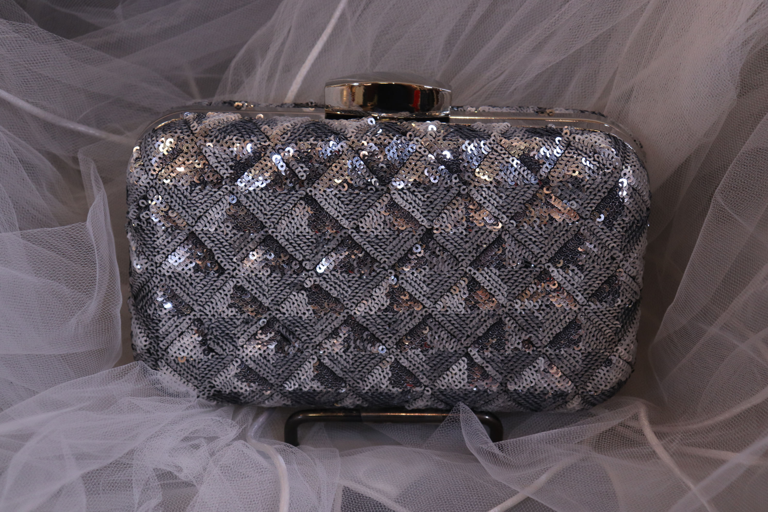 Silver Sparkly Clutch