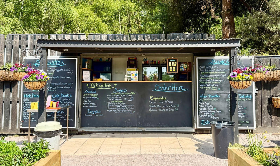 A Family Lunch Turns Joyful: Empanadas & Milanesa's at Your Neighbourhood Clara’s Cocina
