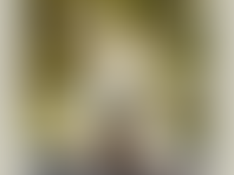 Majestic tree with sprawling roots and branches, sunlight streaming through leaves, creating a serene, natural setting.