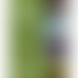 New Curriculum Review: Kiddom's OpenSciEd